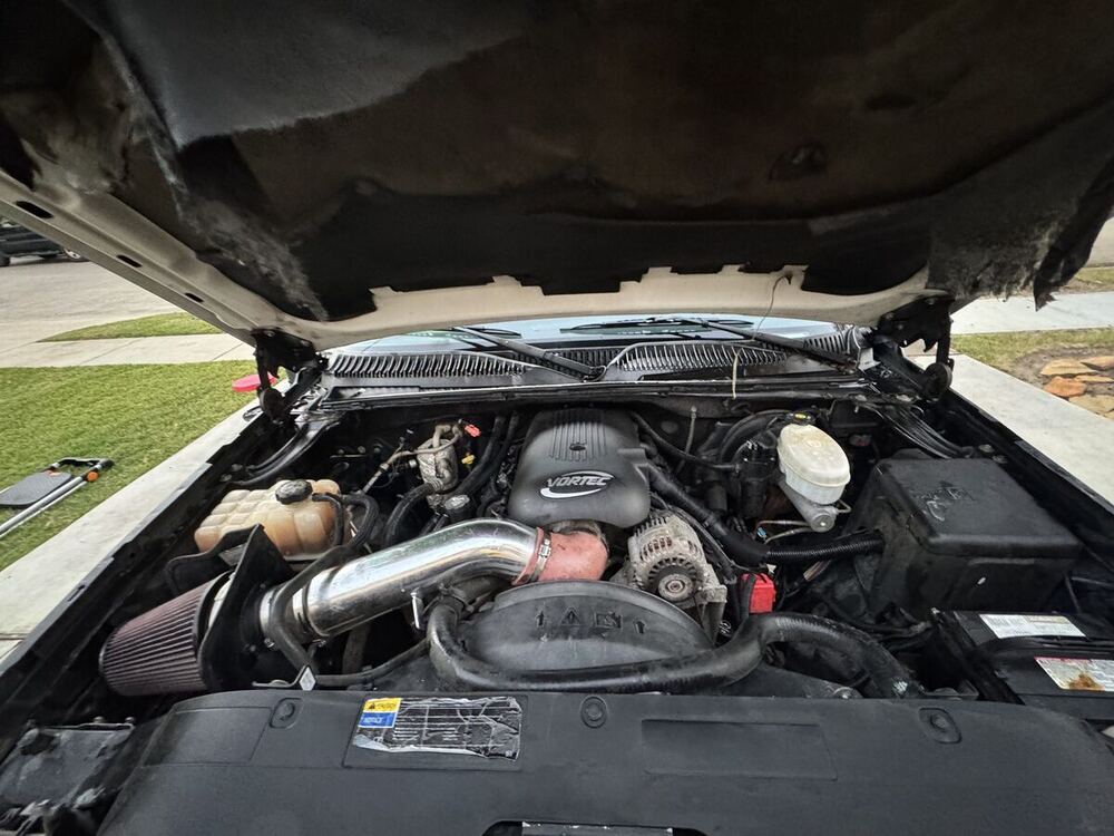 Engine bay after detailing — clean and dressed